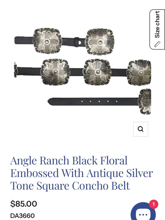 Black and Silver Concho Belt - Small main image 4